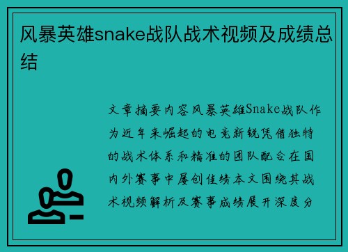 风暴英雄snake战队战术视频及成绩总结